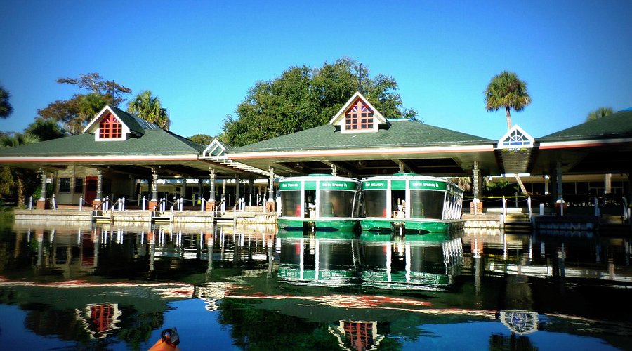 Silver Springs Glass Bottom Boat Tour